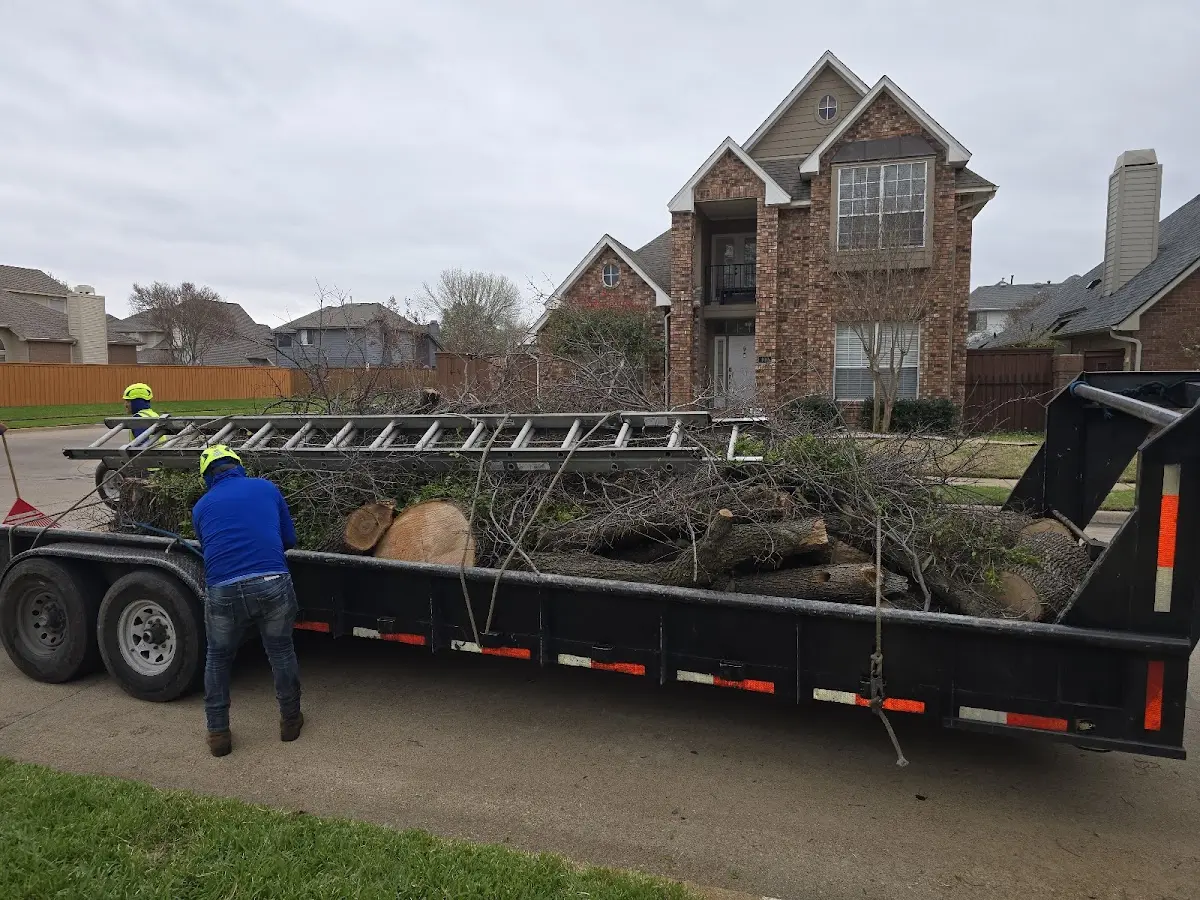 Expert Lot Clearing with proper safety equipment in Rosser
